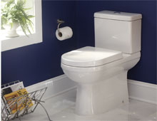 How to Shop for Toilets